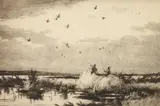 Ogden Pleissner, Passing Pintails