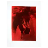 Marco Zamudio, Equus X, 2016, Serigrafía y aguatinta sobre papel algodón