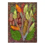 Raffy Napay, Garden II