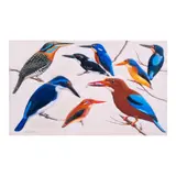 Porfirio Castañeda, Bird Studies, oil on paper