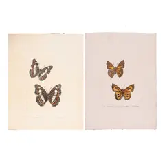 Justin Nuyda, a.) Untitledb.) Untitled, etching A/P