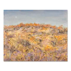 Alfredo Roces, Bushscape: Davidson Park, oil on canvas