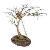 Michael Cacnio, Tree House