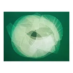 Diaphanous #844 by Romulo Olazo, oil on canvas, sold Sep 2024