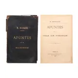 Robustiano Echauz, Apuntes de la Isla de Negros [Notes about Negros island].