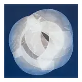 Romulo Olazo, Diaphanous #959, oil on canvas