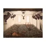 Geraldine Javier, Odd Sights, Strange Sounds, oil on canvas