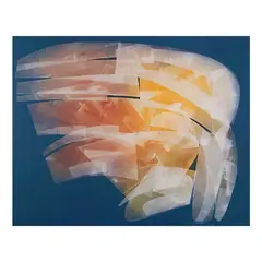 Diaphanous B-LXLIX by Romulo Olazo, oil on canvas, sold Feb 2023