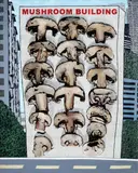 Pam Yan Santos, Mushroom Building, acr y l i c , collage, graphite and serigraph on