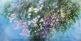 Betsy Westendorp, Orchids