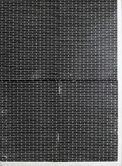 Maria Taniguchi, Untitled, acrylic on archival paper