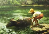 Fernando Amorsolo, Boy and Carabao