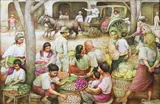 Tony Mahilum, Vendors