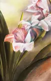 Cesar Legaspi, Gladiola