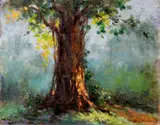 Dr. Toribio Herrera, Tree, oil on canvas