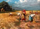 José Pereira, Harvest