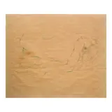 Oscar Zalameda, Nude, colored pencil on paper
