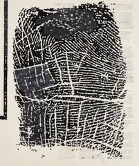 Marcel Odenbach, Ohne Titel (Hedwig Sara Roth München, den 20. Februar 1939), 2006, Serigrafie und Papiercollage auf Velin