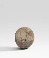 Alfred Haberpointner, Ohne Titel, 1993, Eichenholz, gehackt und weiß bemalt