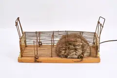 Günter Weseler, Atemobjekt K 89/73, 1973, Fellobjekt in Falle aus Holz und Metall, Motor, Kabel,