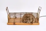 Günter Weseler, Atemobjekt K 89/73, 1973, Fellobjekt in Falle aus Holz und Metall, Motor, Kabel,