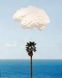 Brain Cloud (With Seascape and Palm Tree) by John Baldessari, 2009, Inkjet-Print auf Hahnemühle-Karton, sold Dec 2021