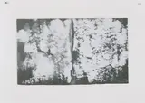 Karin Sander, Untitled, Schmirgelpapier mit weißen Schmirgelspuren, laminiert. In Objektrahmen montiert