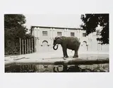 Candida Höfer, Zoologischer Garten, Köln