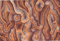 Bernard Frize, Ploria, 2013, acrylic and resin on canvas