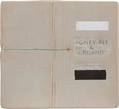 Lee Kit, Honey Bee & Organic, 2013, acrylic, emulsion paint, inkjet ink and wire on cardboard