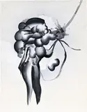 Tomoo Gokita, Misty Down