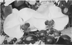 Mirror 2 by Marc Quinn, 2011, oil on canvas, sold Dec 2020