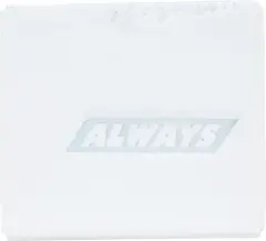 Lee Kit, Always, 2011, acrylic, emulsion, inkjet print on cardboard