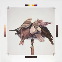 David Chan, Balance, 2018, oil on linen