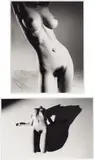 Two Works: (i) Kaori; (ii) Bodyscapes by Nobuyoshi Araki, (i) 2006; (ii) 2005, gelatin silver print, sold Oct 2020