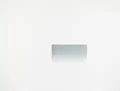 Lee Ufan, Dialogue, 2007, oil and mineral pigment on canvas
