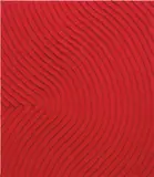 Nam Tchun Mo, Spring 2017 / 17-106, 2017, acrylic on coated fabric