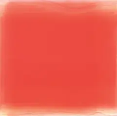 Kim Taek Sang, Breathing Light - Camellia Flower, 2016-2019, acrylic on canvas