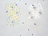 Natsuyuki Nakanishi, 7V, 2001, oil on canvas