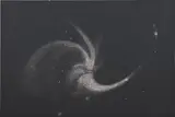 Ni Youyu, Dust (Whirlpool Nebula) with photograph, 2017, mixed media