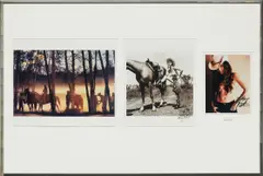 Untitled (Publicity) by Richard Prince, 2003, ink on color and black and white photographs in three parts and printed paper in the artist’s frame, sold Nov 2018