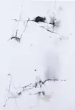 Christine Ay Tjoe, Alter Idem II, 2003, gouache and pencil on paper