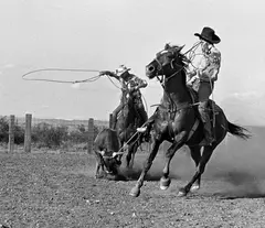 Laura Wilson, Cowboys Roping, Y-6 Ranch Valentine, Texas, June 3, 1992, Gelatin silver print