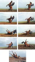 Laura Wilson, Stunt Cowboy Falling Off Horse, Ventura County, California, February 20, 2007, Nine prints