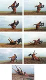 Laura Wilson, Stunt Cowboy Falling Off Horse, Ventura County, California, February 20