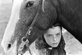 Laura Wilson, Hutterite Girl with Her Horse, Chattahoochee, Surprise Creek Colony Stanford, Montana, August 15