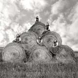 Laura Wilson, Hutterite Girls During Hay Making Season, Surprise Creek Colony, Stanford, Montana, August 22, 1991, Gelatin silver print