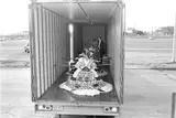 Laura Wilson, Debutantes Arriving at Ball, Laredo, Texas, February 19
