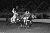 Laura Wilson, Trick Rider, Fort Worth Stock Show and Rodeo, Fort Worth, Texas, February 1