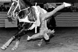 Laura Wilson, Trick Rider, Fort Worth Stock Show and Rodeo Fort Worth, Texas, February 1